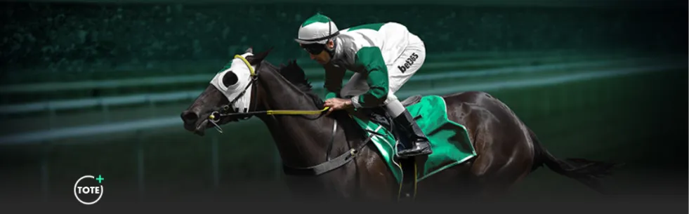 河北,国球梦想启,航之地,万博manbetx体育平台,万博体育官网,万博体育app下载,ManBetX,SPORTS